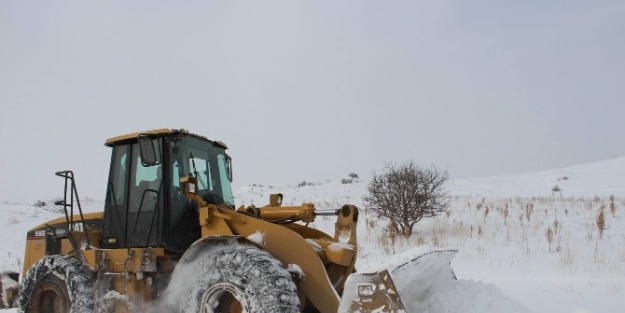 Erzurum’da Kapalı Köy Yollarını Ulaşıma Açmak İçin Seferber Oldular