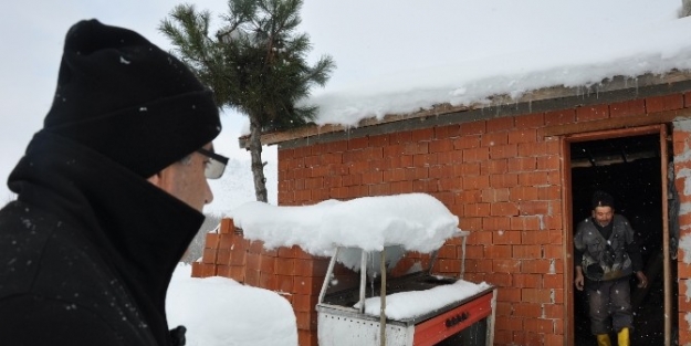 Isitmak İçin Yakılan Soba 5 Hayvanı Telef Etti