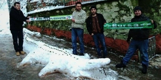 Bu da kardan timsah!