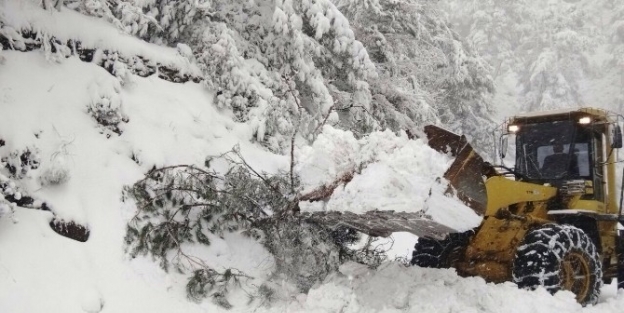 Kemalpaşa’da Yoğun Kış Mesaisi