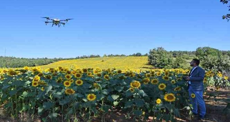 Kestel'de çayır tırtılı istilasına dronlu önlem