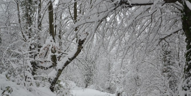 Zonguldak’ta 142 Köy Yolu Ulaşıma Kapalı