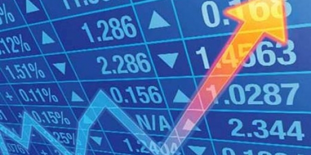 Hayvanların gerçek dostu