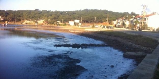 Ayvalık’ta Deniz Bile Dondu