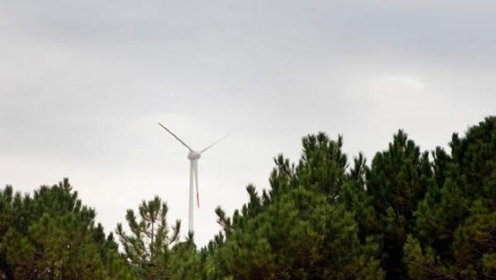 Boğaziçi enerji ihtiyacını kendi karşılayacak