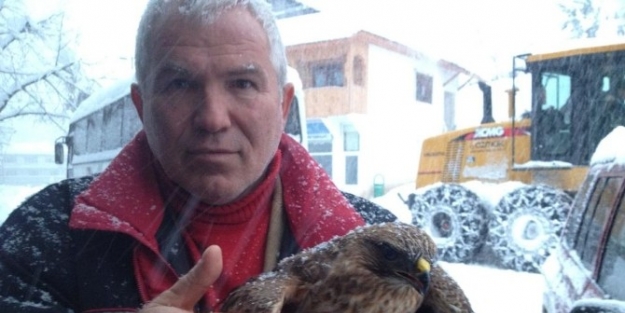 Yaralı Doğan’a Şefkat Eli