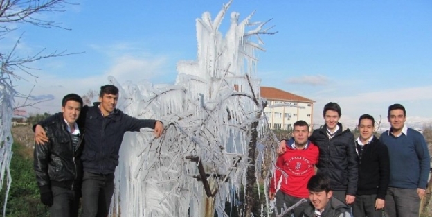 Alaşehir’de Ağaçlar Buz Kesti