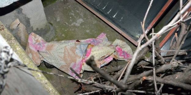 Yeni doğan bebek donarak can verdi