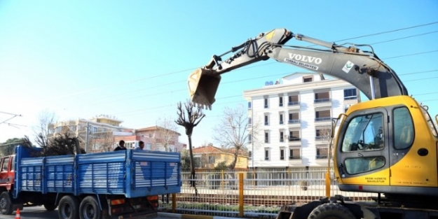 Torbalı’da Ağaçlar Kesilmiyor