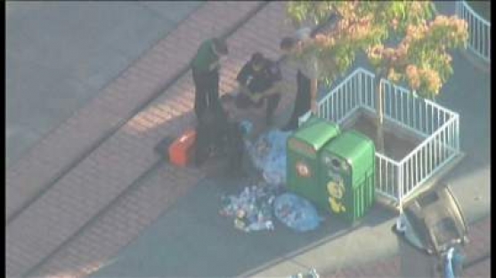 Disneyland'da bomba paniği!