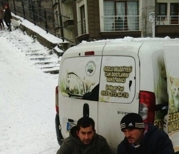 Kozlu Belediyesi Hayvanları Unutmadı