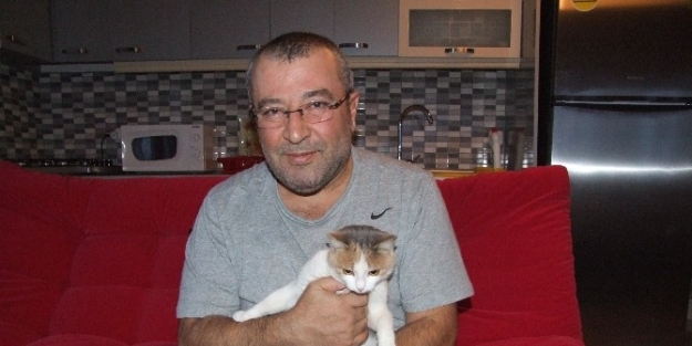 Siverek’te Donan Eşeklere Yine Aynı İşadami Sahip Çikti