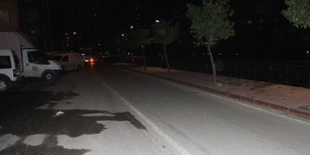 Savaştan Kurtuldu, Trafik Canavarı Öldürdü