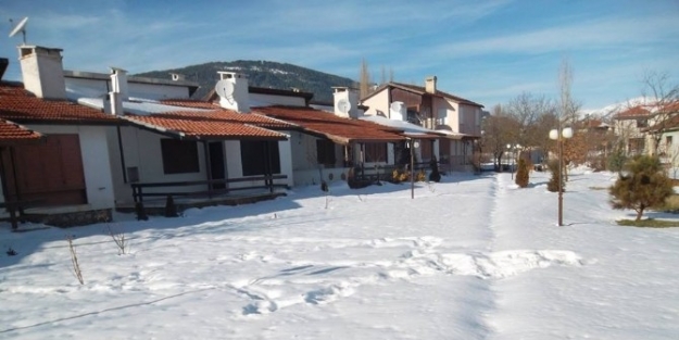 Donan Gölün Üstünde Kedi Gezdi