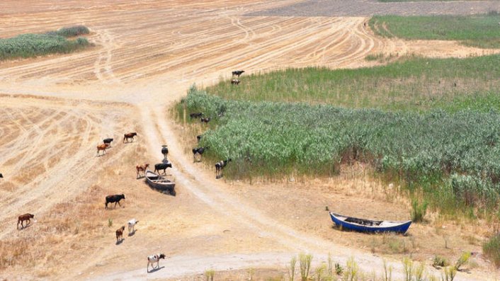 Marmara Gölü'nü kurtaracak proje açıklandı!