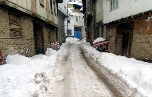 Örnek Muhtar, Örnek Köy