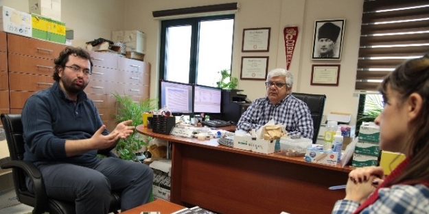 Türkiye’deki Zeytin Ağaçlarının Dna Şifresi Çözüldü