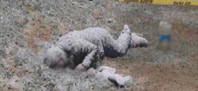 Sultanbeyli'de dehşete düşüren görüntü