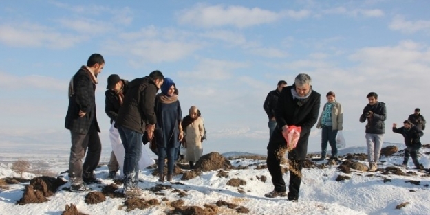 Sokak Hayvanlarını Beslediler