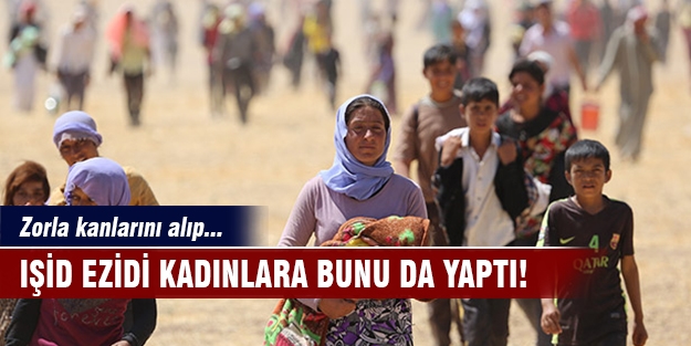 IŞİD'in Ezidi kadınlara yapmadığı kalmadı!