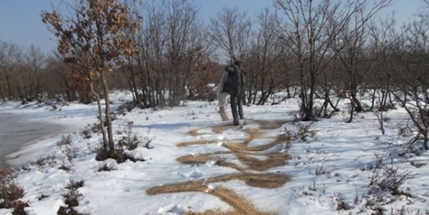 Tekirdağ’da Yaban Hayvanları Unutulmadı
