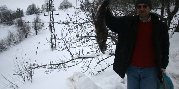 Bursalı köylüler sansar mağduru!