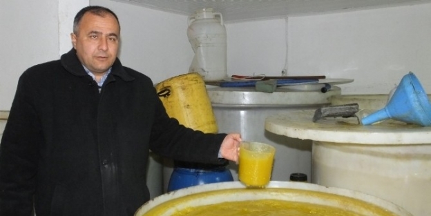 Burhaniye’de Raflardaki Zeytin Yağları Dondu