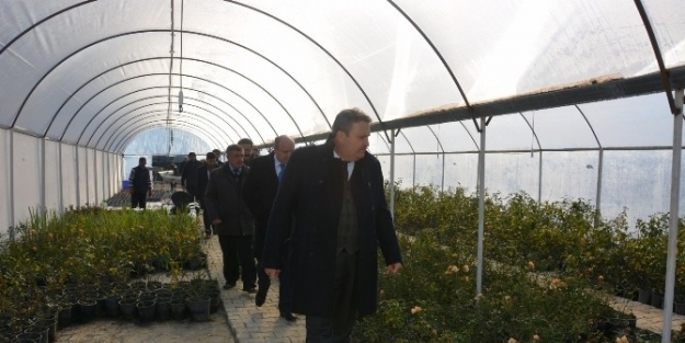 Yunusemre, Mart Ayında Çiçek Açacak