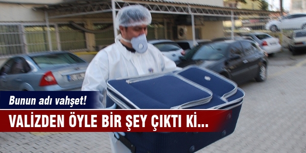 Hatay'da vahşet!