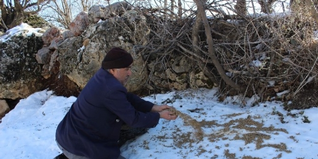 Adıyaman’da Yabani Hayvanlar İçin Doğaya Yem Bırakıldı