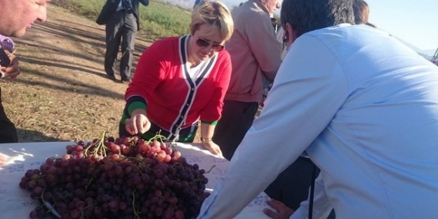 Ak Partili Burak’tan Çiftçiye Altın Değerinde Tavsiyeler