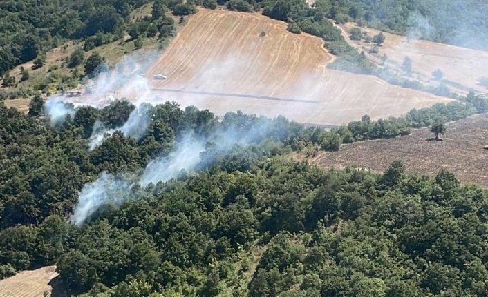 Bursa'da orman yangını! Soğutma çalışmaları sürüyor