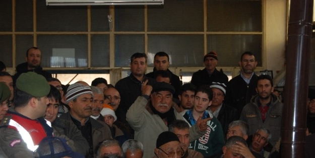 Ceyhan’da Termik Santraller İçin Çed Toplantısı