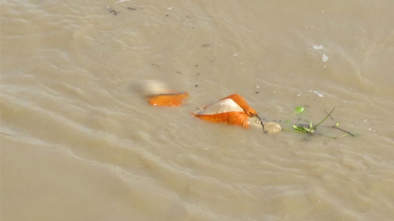 Nehirde yüzlerce ceset bulundu