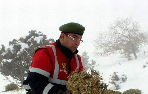 (özel Haber) Yaban Hayvanları Kış Şartlarinda Onlar Sayesinde Aç Kalmıyor