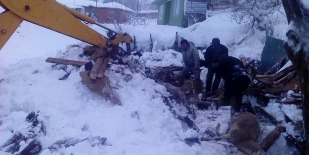 Bursa'da dam çöktü! Koyunlar telef oldu!