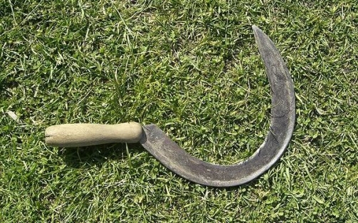 Babasını orakla öldürdü