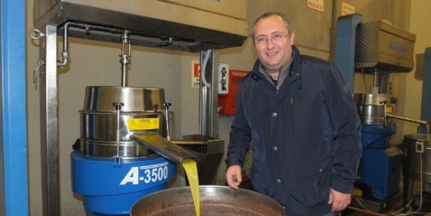 Türkiye’nin En Kaliteli Zeytinyağları Böyle Üretiliyor