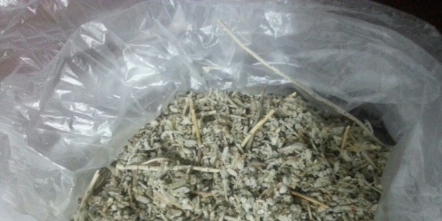 İhtiyaç Molasında Yakalandı