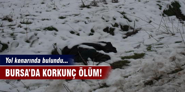 Bursa'da korkunç ölüm!