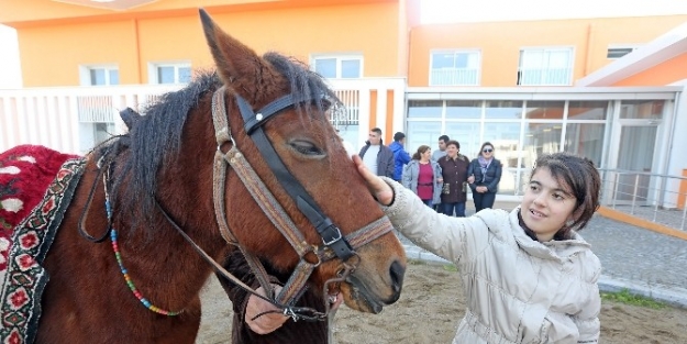 Otizmli Öğrencilere Atlı Terapi