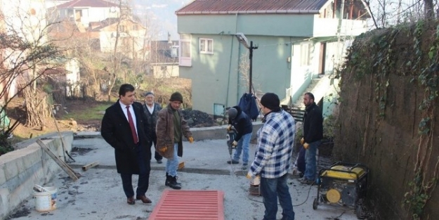 Şahin’e Yoğun İlgi