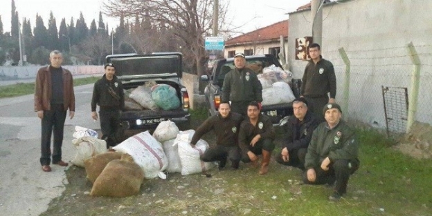 Kır Bekçileri Bir Ton Çalinti Zeytin Ele Geçirdi