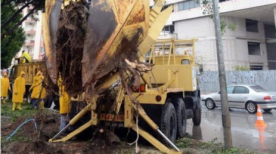 Antalya Belediyesi ağaçlara kıymadı