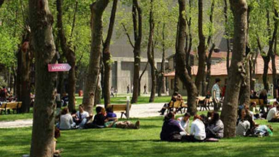 Porno bitirme teziyle ilgili karar verirdi