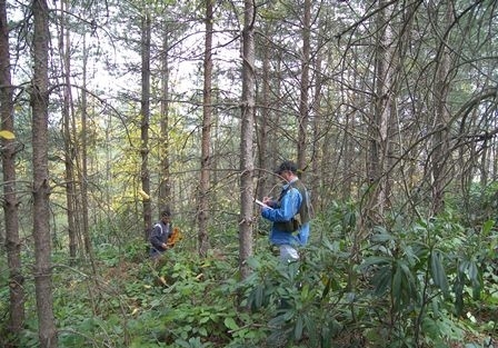 Adana Bölgede Orman Varlığı Arttı