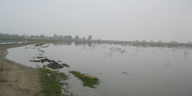 Bursa'da su baskını!