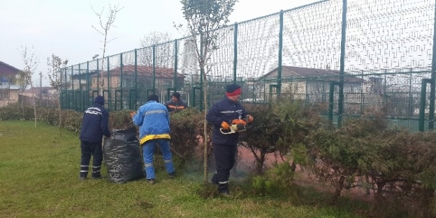 Kartepe’de Bitkilere Kar Bakımı Yapıldı