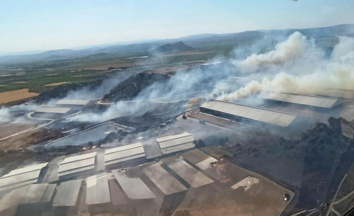 İzmir Bergama'da makilik yangını kontrol altına alındı!