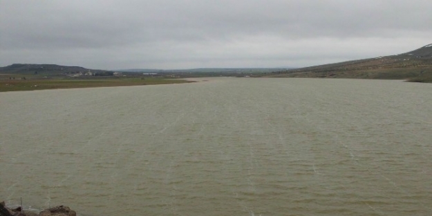 Baraj Ve Göletler Doldu